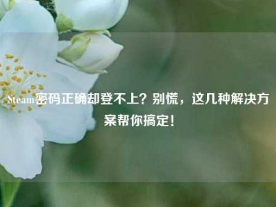 Steam密码正确却登不上？别慌，这几种解决方案帮你搞定！