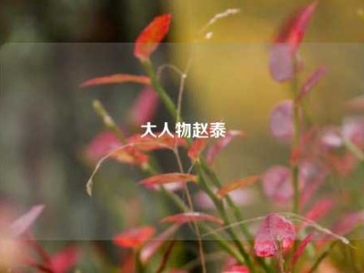 大人物赵泰