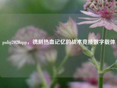 pubg2020app，镌刻热血记忆的战术竞技数字载体
