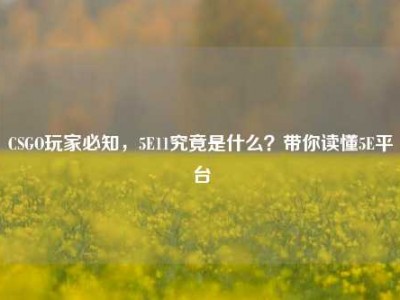 CSGO玩家必知，5E11究竟是什么？带你读懂5E平台