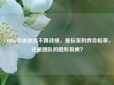 COD16中途退出不算战绩，是玩家的救命稻草，还是团队的隐形裂痕？