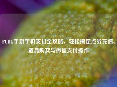PUBG手游手机支付全攻略，轻松搞定点券充值、道具购买与微信支付操作