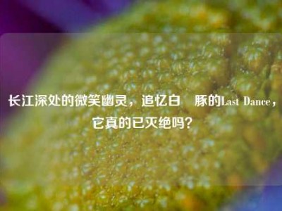 长江深处的微笑幽灵，追忆白鱀豚的Last Dance，它真的已灭绝吗？