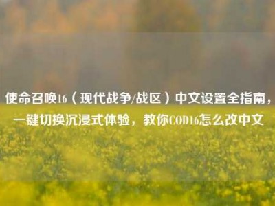 使命召唤16（现代战争/战区）中文设置全指南，一键切换沉浸式体验，教你COD16怎么改中文