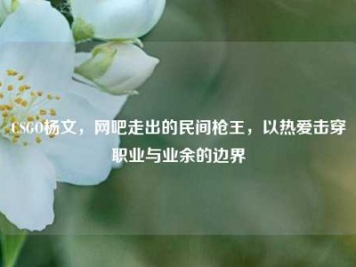 CSGO杨文，网吧走出的民间枪王，以热爱击穿职业与业余的边界