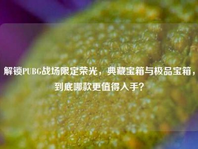 解锁PUBG战场限定荣光，典藏宝箱与极品宝箱，到底哪款更值得入手？