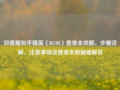 印度服和平精英（BGMI）登录全攻略，步骤详解、注意事项及登录失败疑难解答