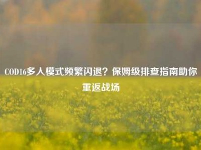 COD16多人模式频繁闪退？保姆级排查指南助你重返战场
