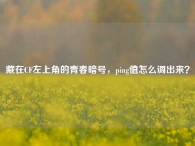 藏在CF左上角的青春暗号，ping值怎么调出来？