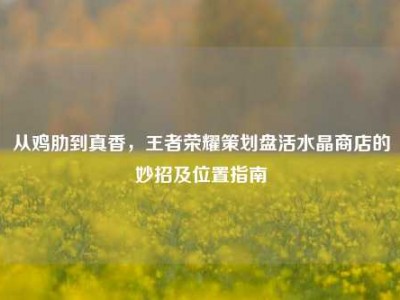 从鸡肋到真香，王者荣耀策划盘活水晶商店的妙招及位置指南