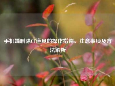手机端删除CF道具的操作指南、注意事项及方法解析