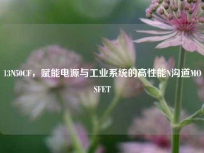 13N50CF，赋能电源与工业系统的高性能N沟道MOSFET