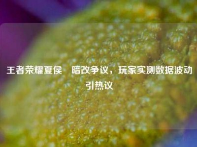 王者荣耀夏侯惇暗改争议，玩家实测数据波动引热议