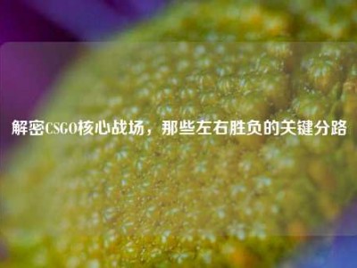 解密CSGO核心战场，那些左右胜负的关键分路