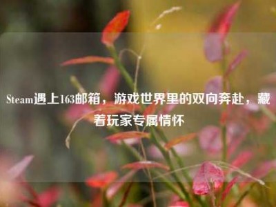 Steam遇上163邮箱，游戏世界里的双向奔赴，藏着玩家专属情怀