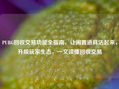 PUBG回收交易功能全指南，让闲置道具活起来，升级玩家生态，一文读懂回收交易