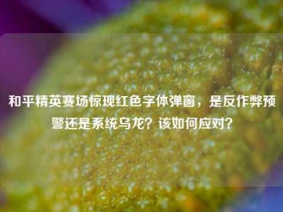 和平精英赛场惊现红色字体弹窗，是反作弊预警还是系统乌龙？该如何应对？