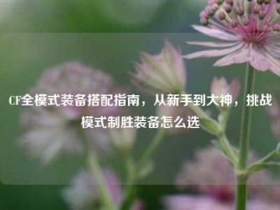 CF全模式装备搭配指南，从新手到大神，挑战模式制胜装备怎么选