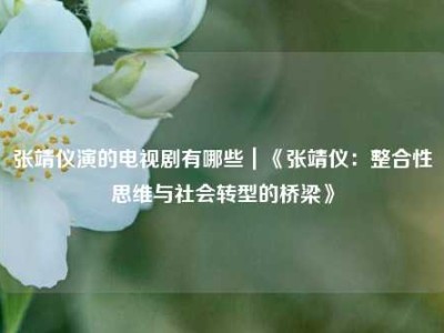 张靖仪演的电视剧有哪些｜《张靖仪：整合性思维与社会转型的桥梁》