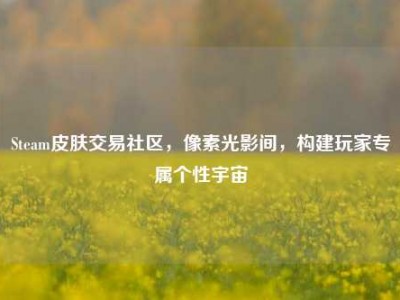 Steam皮肤交易社区，像素光影间，构建玩家专属个性宇宙