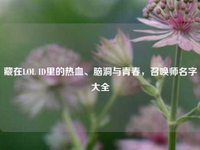 藏在LOL ID里的热血、脑洞与青春，召唤师名字大全