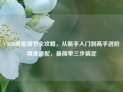 CSGO难度调节全攻略，从新手入门到高手进阶精准适配，最简单三步搞定