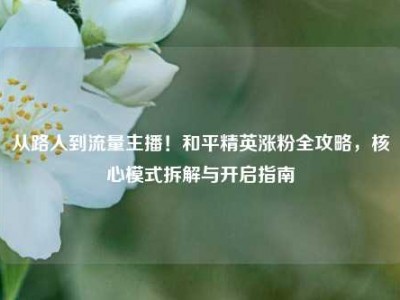 从路人到流量主播！和平精英涨粉全攻略，核心模式拆解与开启指南