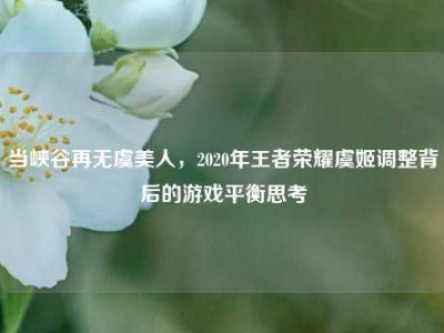 当峡谷再无虞美人，2020年王者荣耀虞姬调整背后的游戏平衡思考