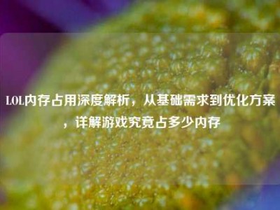 LOL内存占用深度解析，从基础需求到优化方案，详解游戏究竟占多少内存