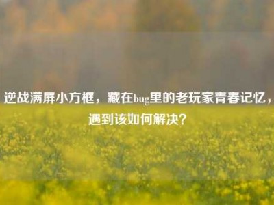 逆战满屏小方框，藏在bug里的老玩家青春记忆，遇到该如何解决？