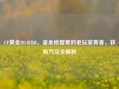 CF黄金M14EBR，鎏金枪膛里的老玩家青春，获取方法全解析