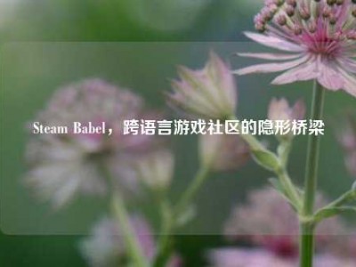 Steam Babel，跨语言游戏社区的隐形桥梁
