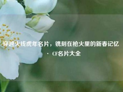 穿越火线虎年名片，镌刻在枪火里的新春记忆 · CF名片大全