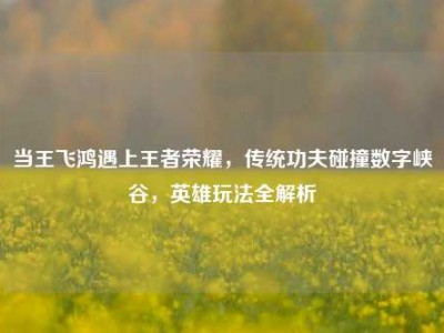 当王飞鸿遇上王者荣耀，传统功夫碰撞数字峡谷，英雄玩法全解析
