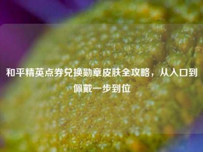 和平精英点券兑换勋章皮肤全攻略，从入口到佩戴一步到位