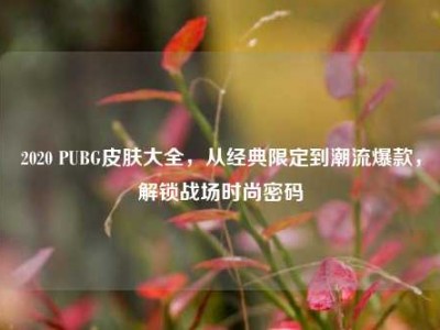 2020 PUBG皮肤大全，从经典限定到潮流爆款，解锁战场时尚密码