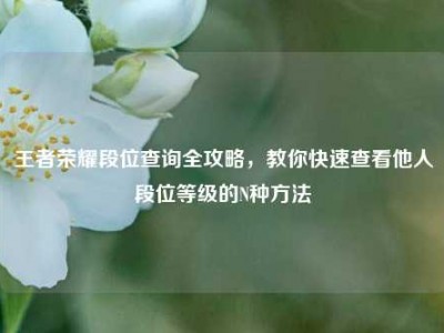王者荣耀段位查询全攻略，教你快速查看他人段位等级的N种方法