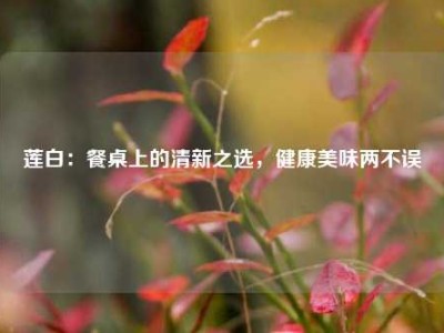 莲白：餐桌上的清新之选，健康美味两不误