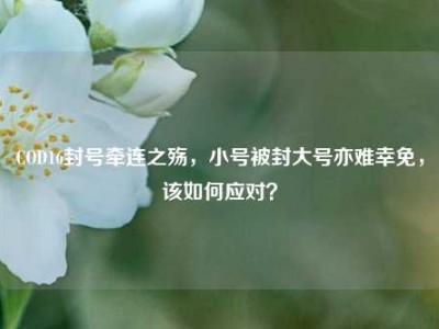 COD16封号牵连之殇，小号被封大号亦难幸免，该如何应对？