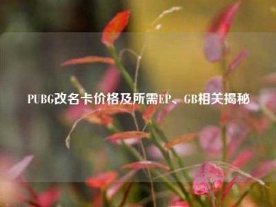 PUBG改名卡价格及所需EP、GB相关揭秘