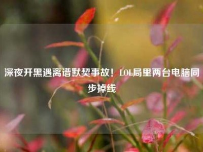 深夜开黑遇离谱默契事故！LOL局里两台电脑同步掉线