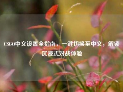 CSGO中文设置全指南，一键切换至中文，解锁沉浸式对战体验
