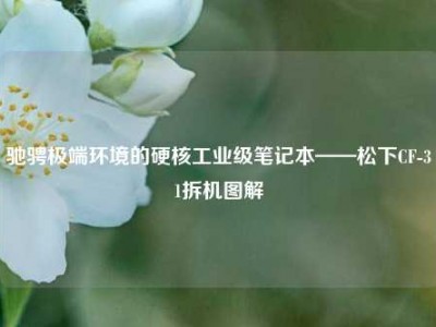 驰骋极端环境的硬核工业级笔记本——松下CF-31拆机图解