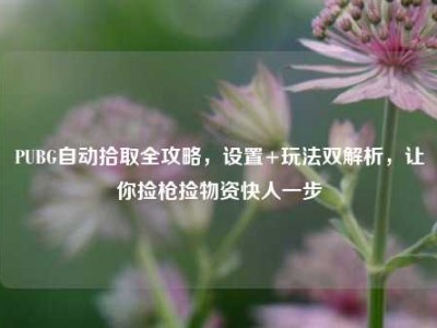 PUBG自动拾取全攻略，设置+玩法双解析，让你捡枪捡物资快人一步