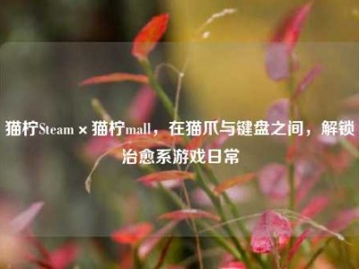 猫柠Steam×猫柠mall，在猫爪与键盘之间，解锁治愈系游戏日常