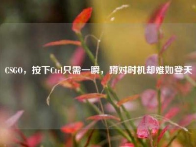 CSGO，按下Ctrl只需一瞬，蹲对时机却难如登天