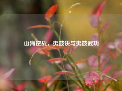 山海逆战，夷鼓诀与夷鼓武功
