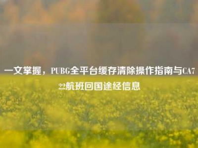 一文掌握，PUBG全平台缓存清除操作指南与CA722航班回国途经信息