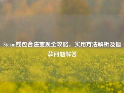Steam钱包合法变现全攻略，实用方法解析及退款问题解答