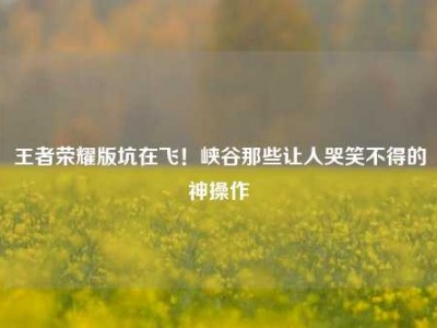 王者荣耀版坑在飞！峡谷那些让人哭笑不得的神操作